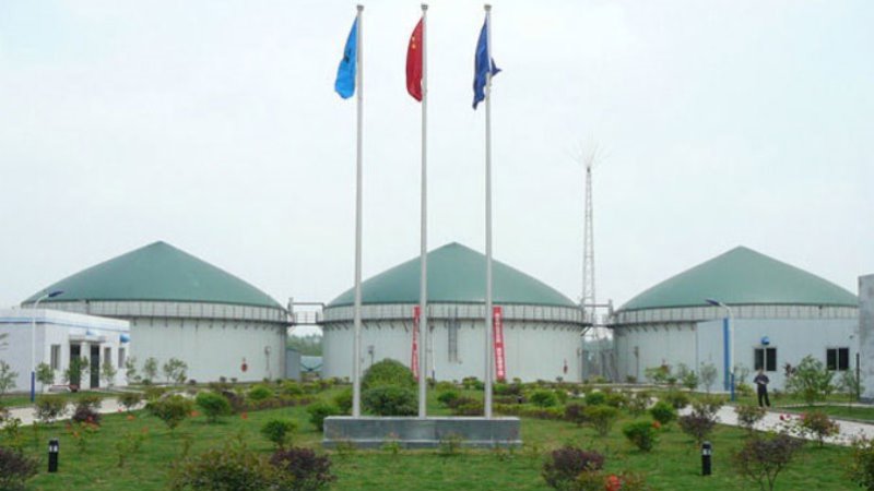 Hubei Longganhu Agriculture Waste Project